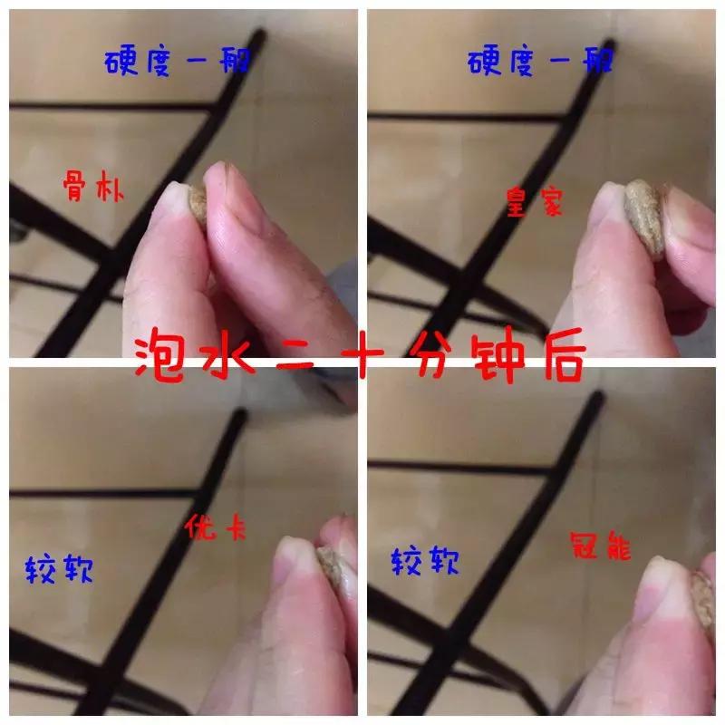 你真的知道该如何选择狗粮吗,如何选择合适的狗粮