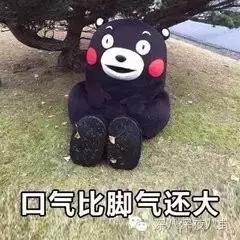 沈梦辰杜海涛芒果台,芒果台杜海涛沈梦辰