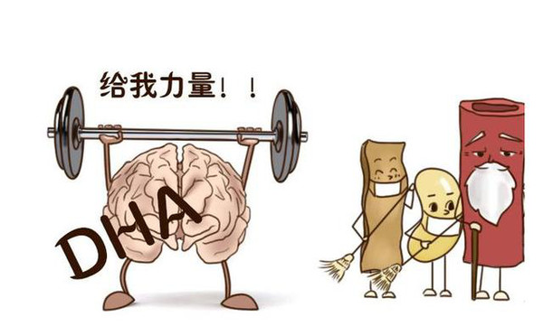 孕期补充DHA会让宝宝更聪明吗,怀孕补充dha可以让宝宝变聪明吗