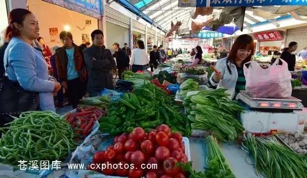 东溪古镇街景,苍溪县古镇全景图