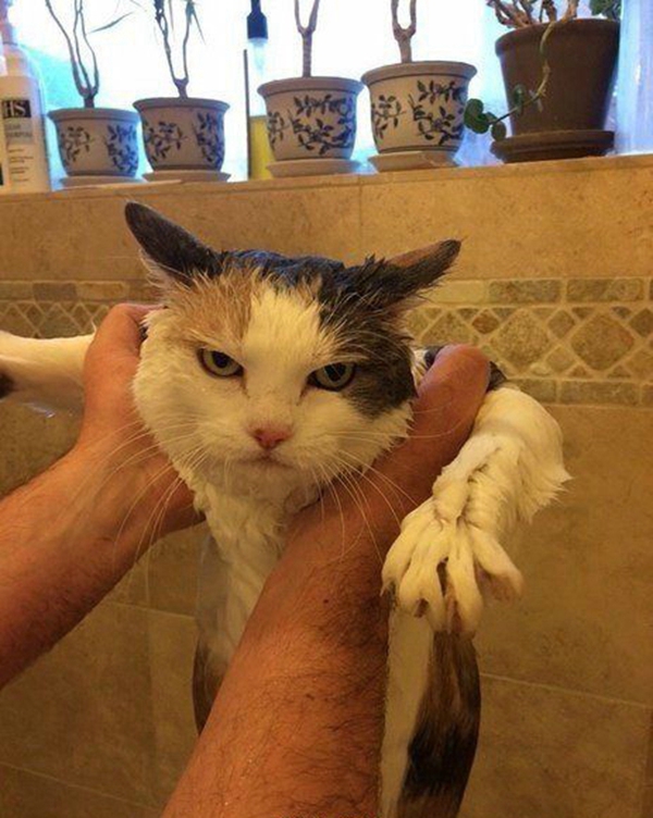 啊，好爽，*死爽**本宝宝了