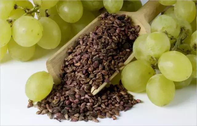 浆果治癌症怎么用,科学家发现消灭癌症的植物