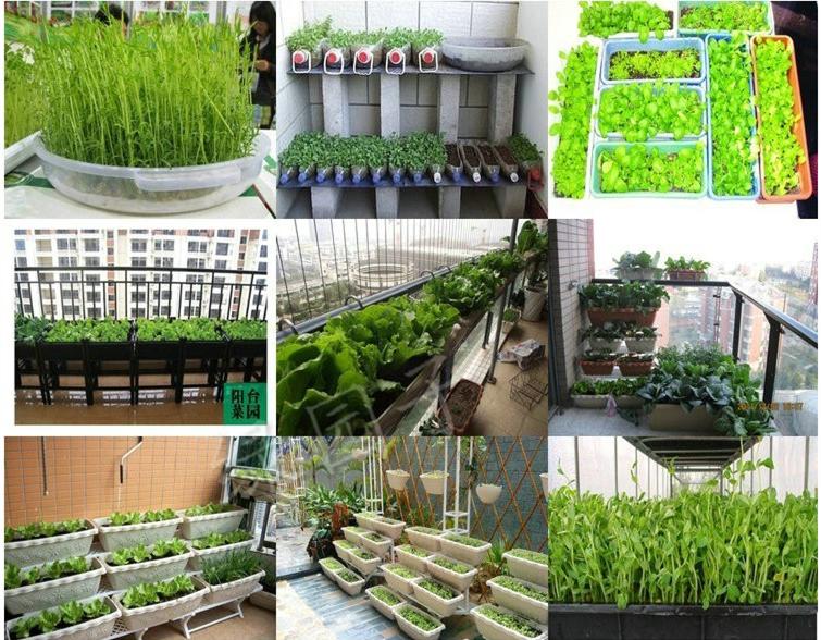 准备剁手的你能忍住了吗,是不是该剁手了