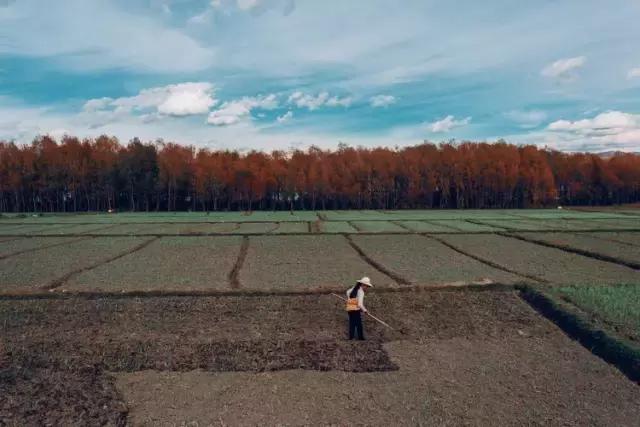 疯子charles课怎么样,疯子摄影师