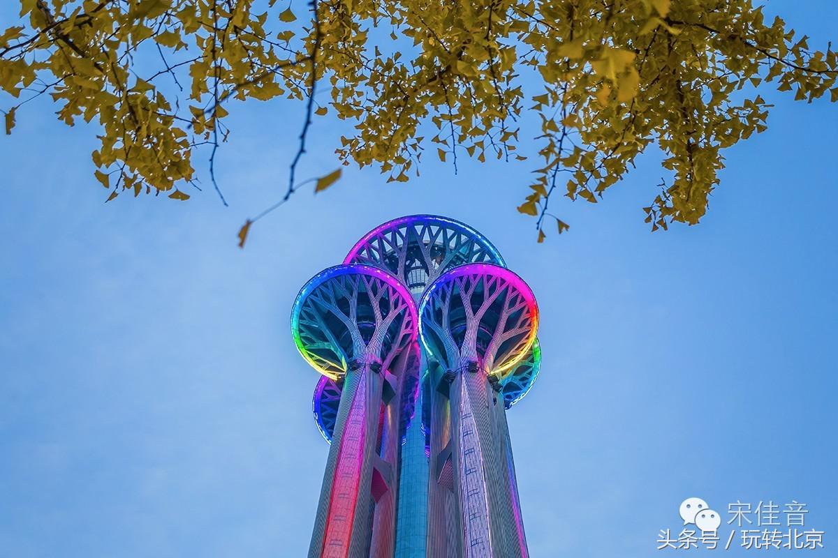 世界最大三塔连体建筑,全世界最大的三塔连体建筑