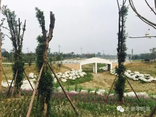 金堂健身不打烊,金堂健身步道完整版