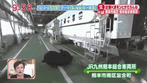 地道的长沙话讲的好听不懂,令人费解的长沙话