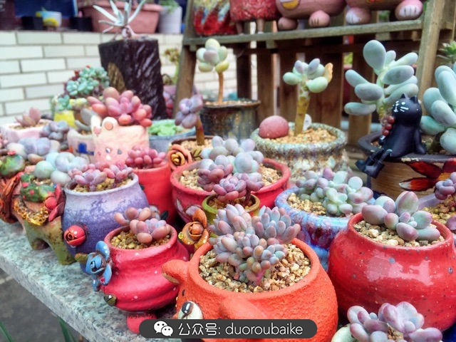 谈谈我的看法和感想,谈谈我对自己的看法