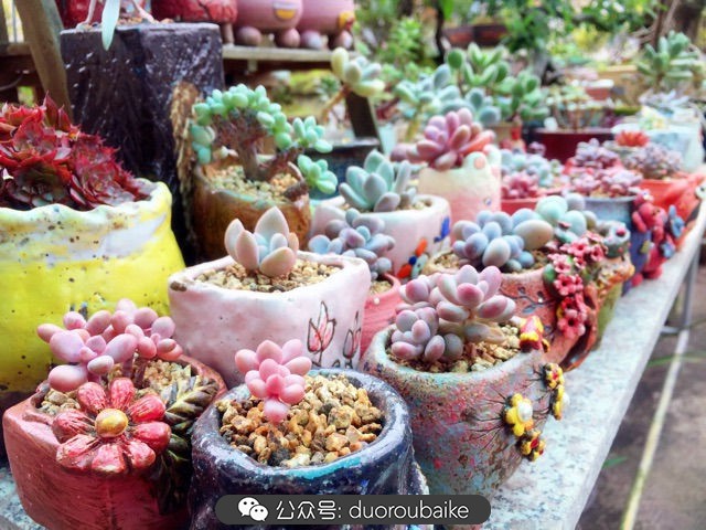 谈谈我的看法和感想,谈谈我对自己的看法