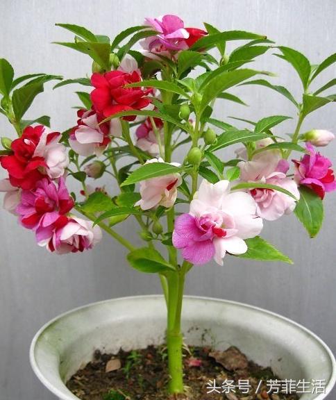 8090美甲店怀旧名称,8090年代的美甲