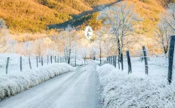 冬季大鲫钓法,立冬钓大鱼怎么调漂