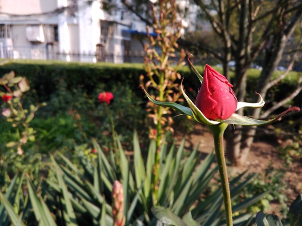 中兴天机七max,中兴天机7max很卡