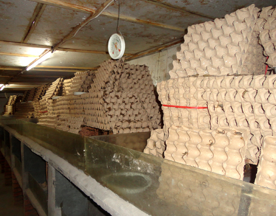 室内养殖蝎子用什么设备,蝎子养殖属于哪个部门管