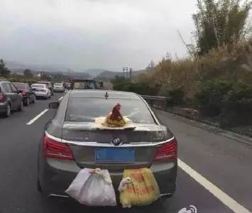 日记这就是我200字左右初中,关于新年的日记100字左右