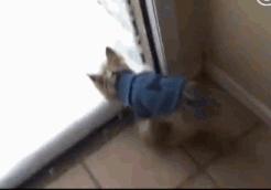 关于快递停运的最新通知,再过2天快递就停运了