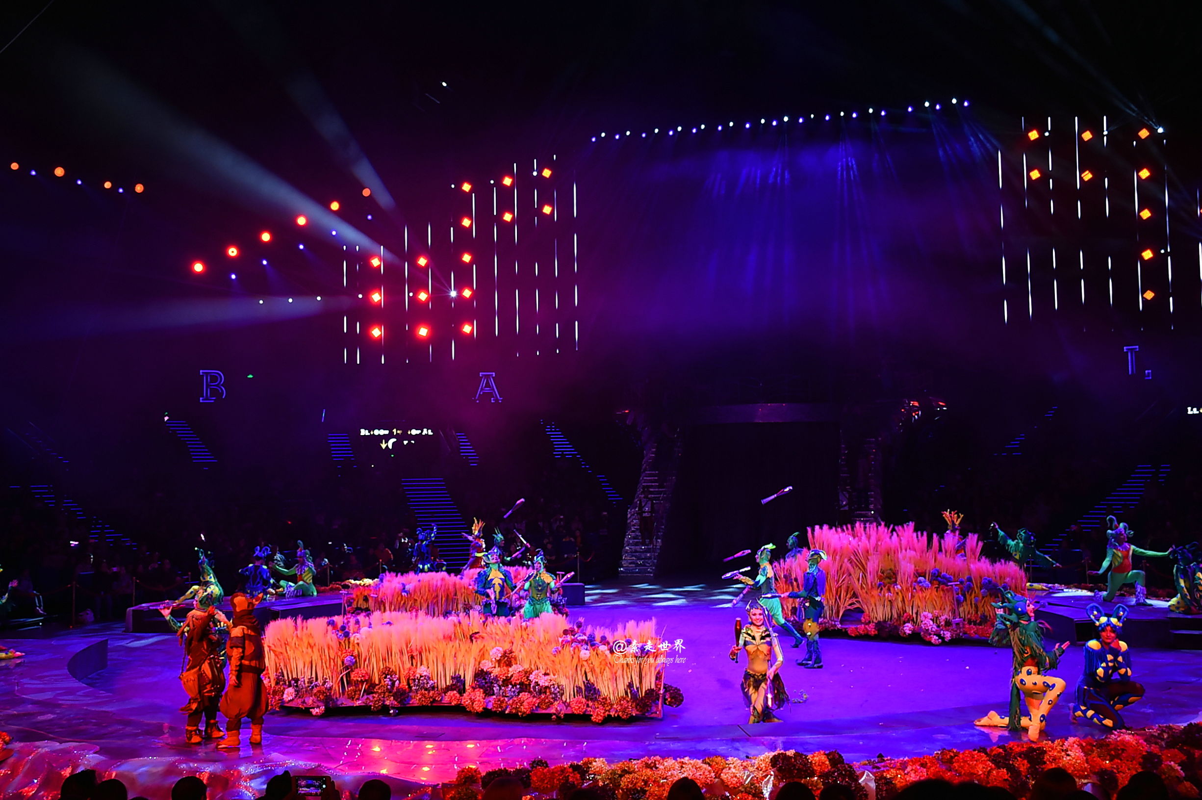 住马戏酒店游玩攻略,新年玩乐好地方