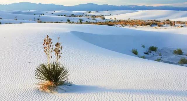 欲治咽炎要先治胃,如何根治咽炎最有效