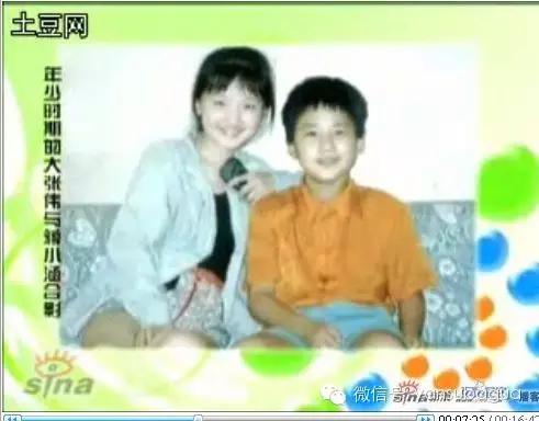 大张伟到底抄袭了吗,大张伟为什么抄袭