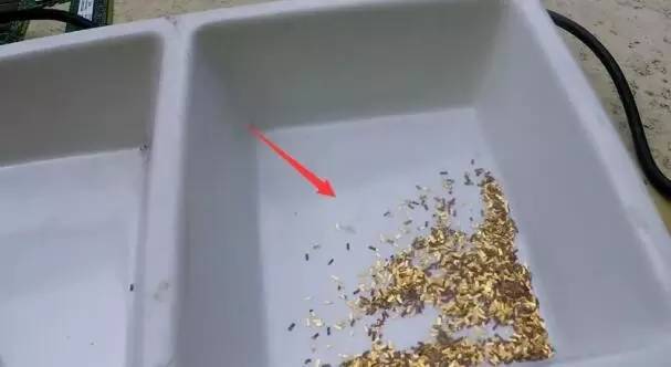 内存条能炼金子吗,内存条能熔出多少黄金