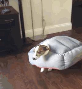 超适合冬天用的保湿面霜,适合冬天用的超保湿面霜