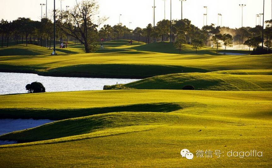 高尔夫优惠团购99元直播,国际高尔夫订场