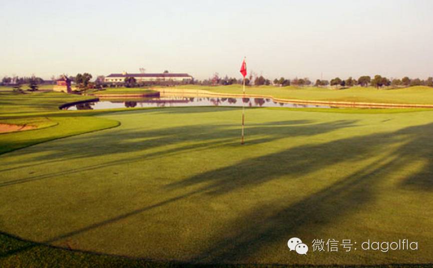 高尔夫优惠团购99元直播,国际高尔夫订场