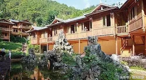 闻茶香回甘甜暖人心,闻茶香绿茶