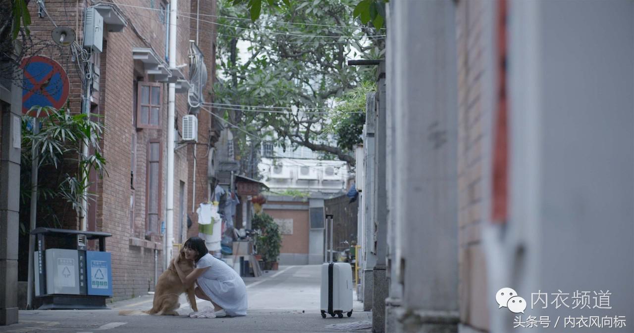 女人、睡衣与狗，芬腾用7分钟讲了一个“忠犬八公”的故事