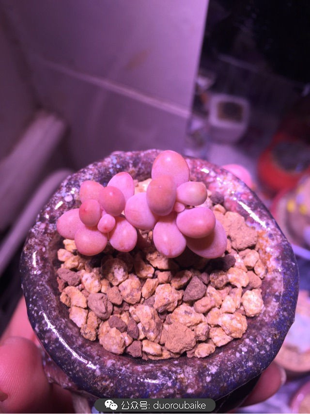 谈谈我对自己的看法,谈谈我对恋爱的看法