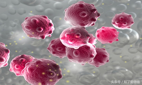 6种碱性食物是癌症的天敌,其他动物有癌症吗