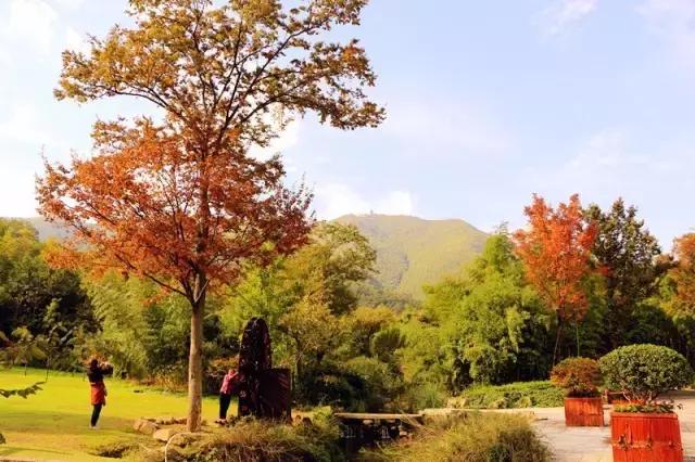 在宜兴竹海，阅读作家笔下的秋！