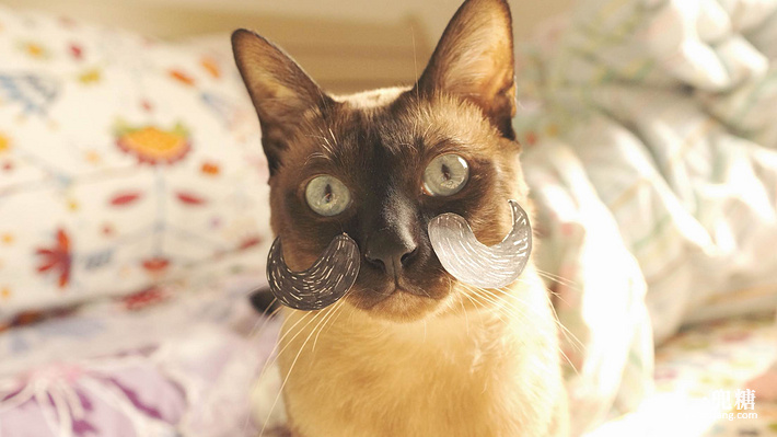 哪一种电暖炉比较好,轻奢电暖炉