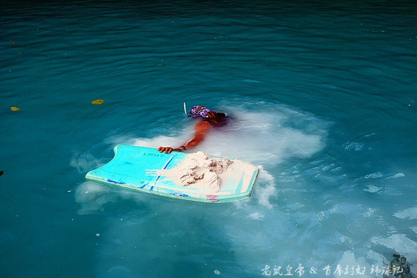 帕劳海底世界完整视频,帕劳潜水遇到的海底生物