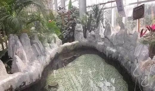 又到约泡季！这份徐州周边温泉大全，满足你一切幻想！