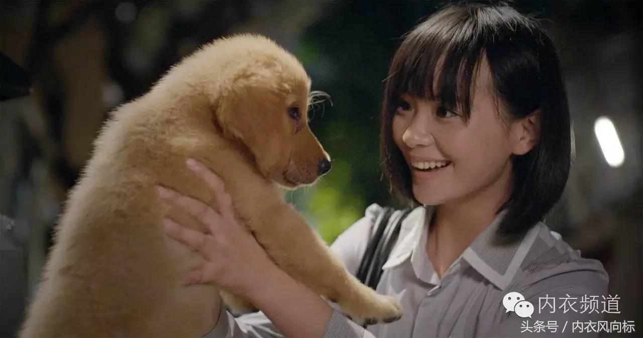 女人、睡衣与狗，芬腾用7分钟讲了一个“忠犬八公”的故事