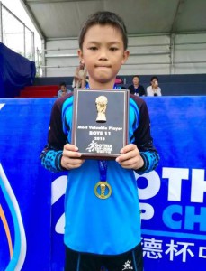 哥德杯2016年冠军,哥德杯冠军奖杯