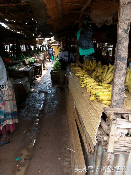 我在非洲工作的日子，给大家介绍下非洲的风土人情