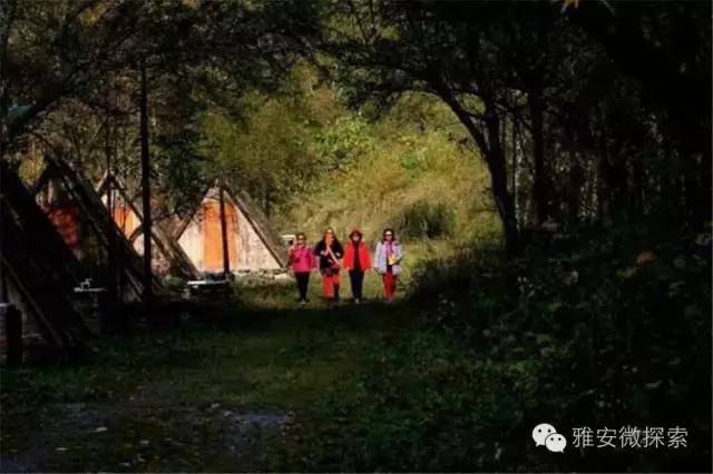 最美的季节,醉美的季节原唱视频