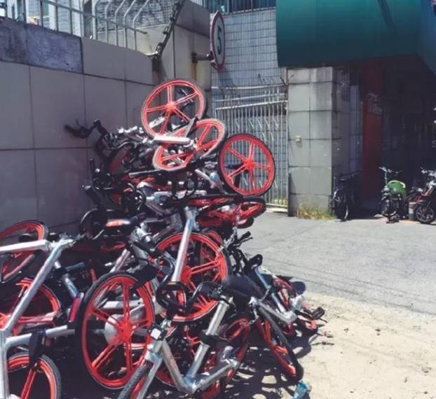 上海人骑共享自行车,现在上海共享单车怎样使用