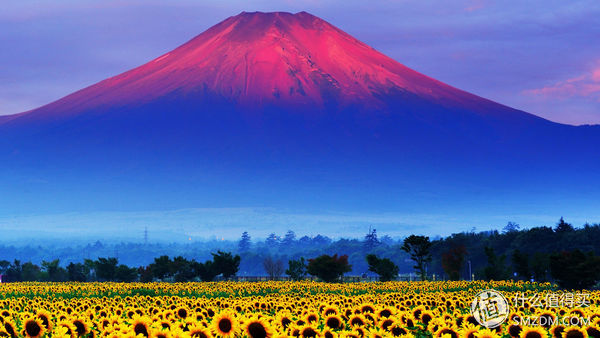 什么是ips硬屏笔记本,ips雾面屏笔记本推荐