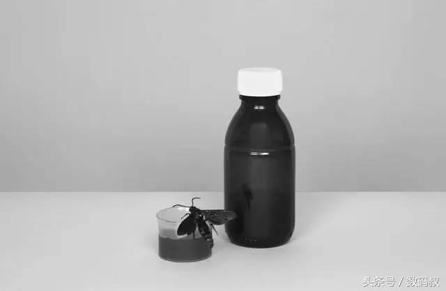 我等死等到一半时,一群蜜蜂蛰了我,救了我一命