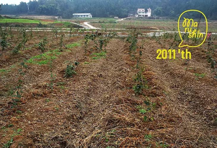 农心|一起向匠人精神致敬!