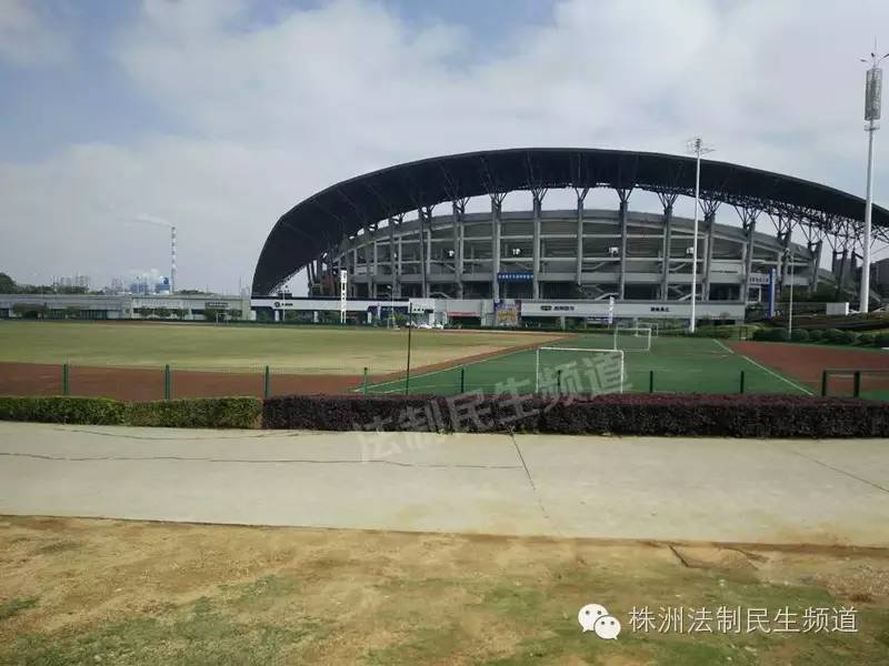 word哥完整视频,word哥原版视频