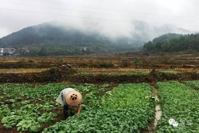 喻东山专栏：治疗精神疾病如何恰当用药？