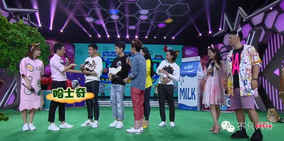 张若昀演的唐山海是什么电视剧,张若昀唐山海美照