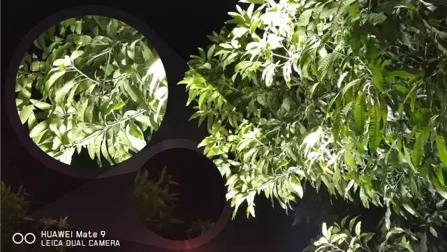 mate9上市价格多少钱,mate9最高版本