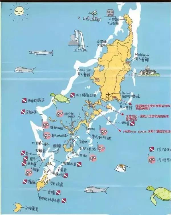 帕劳群岛旅游攻略大全,超强整理去帕劳不得不看的攻略