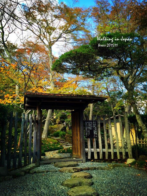 霓虹国秋日暴走之旅,漫步日本旅行游记