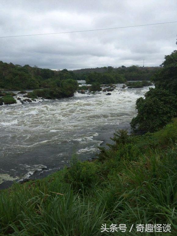 我在非洲工作的日子，给大家介绍下非洲的风土人情