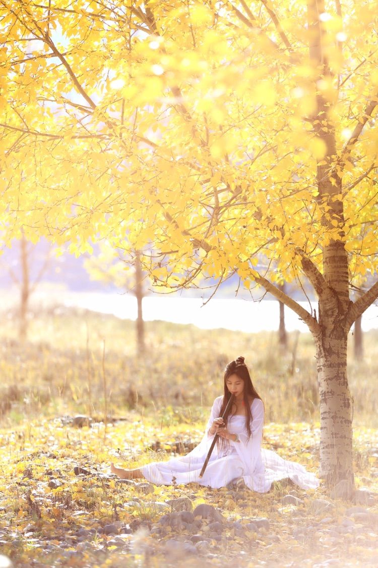 我在秋天等你是什么歌,我在秋天等你美到心碎散文